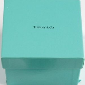 COPY - Tiffany & Co. frog keychain